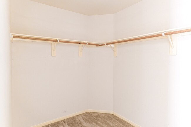 Building Photo - 24642 Cornell Park Ln