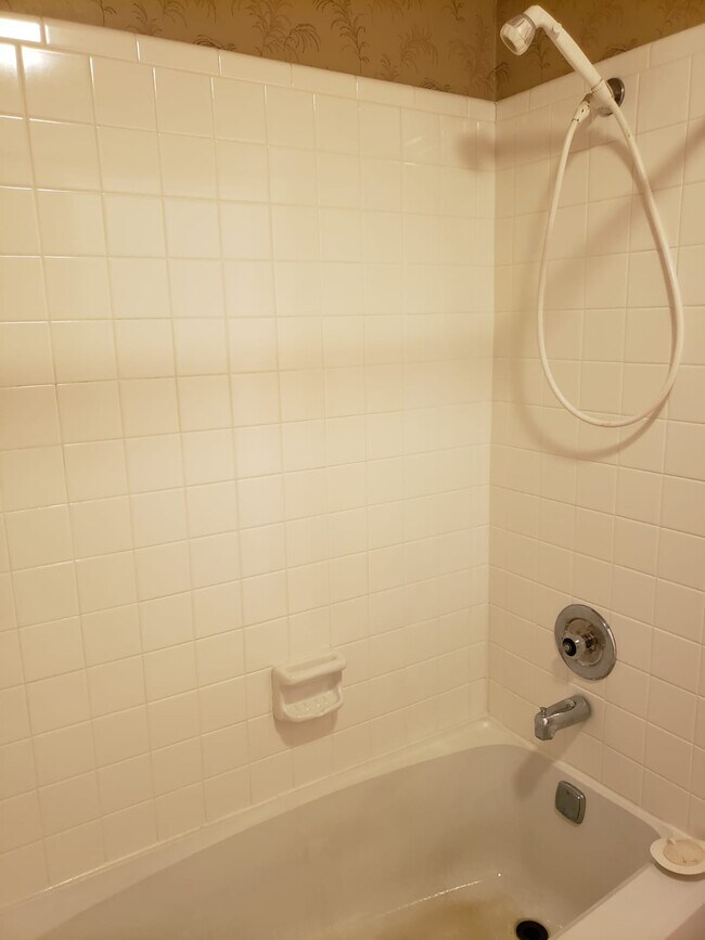 Bath Tub/Shower - 1202 Thorpe Ln