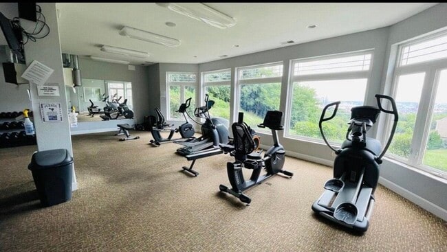 Building Photo - 422 Breezewood Ct