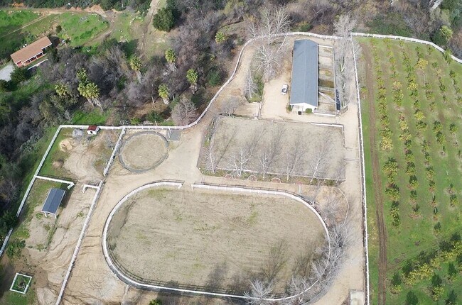 Building Photo - Great horse property in Del Luz!
