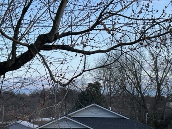 Building Photo - Knoxville 37919 - 3 bedroom, 2 bath home -...