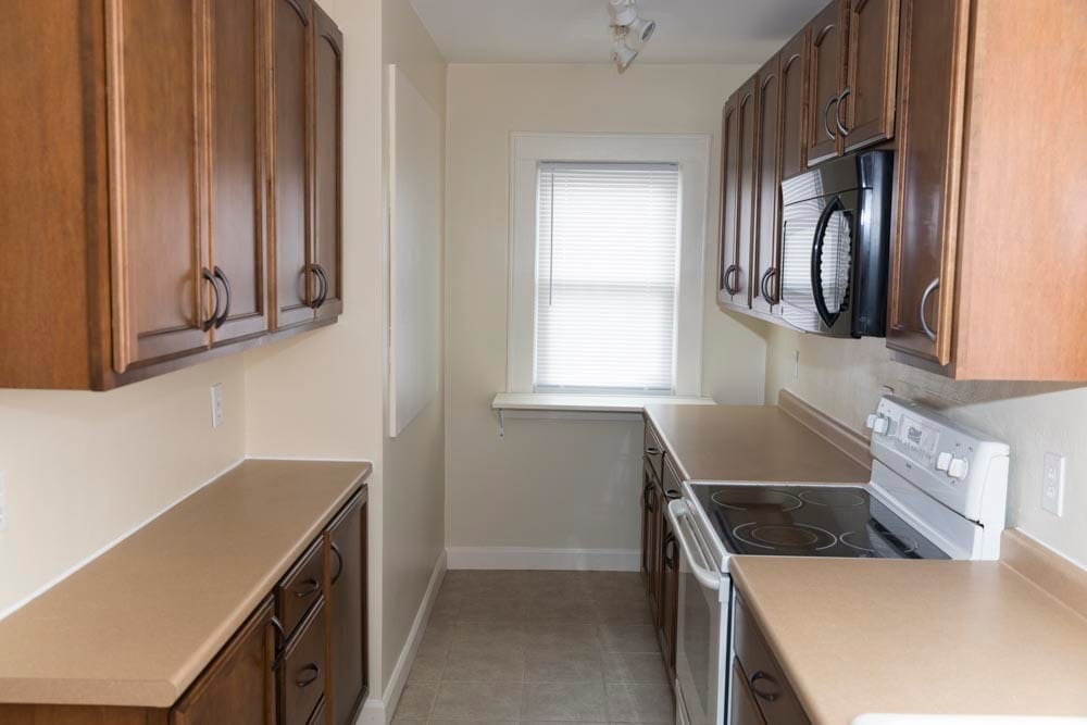 Stove, Microwave, Fridge, Freezer, Dishwasher - 31 Clarendon St