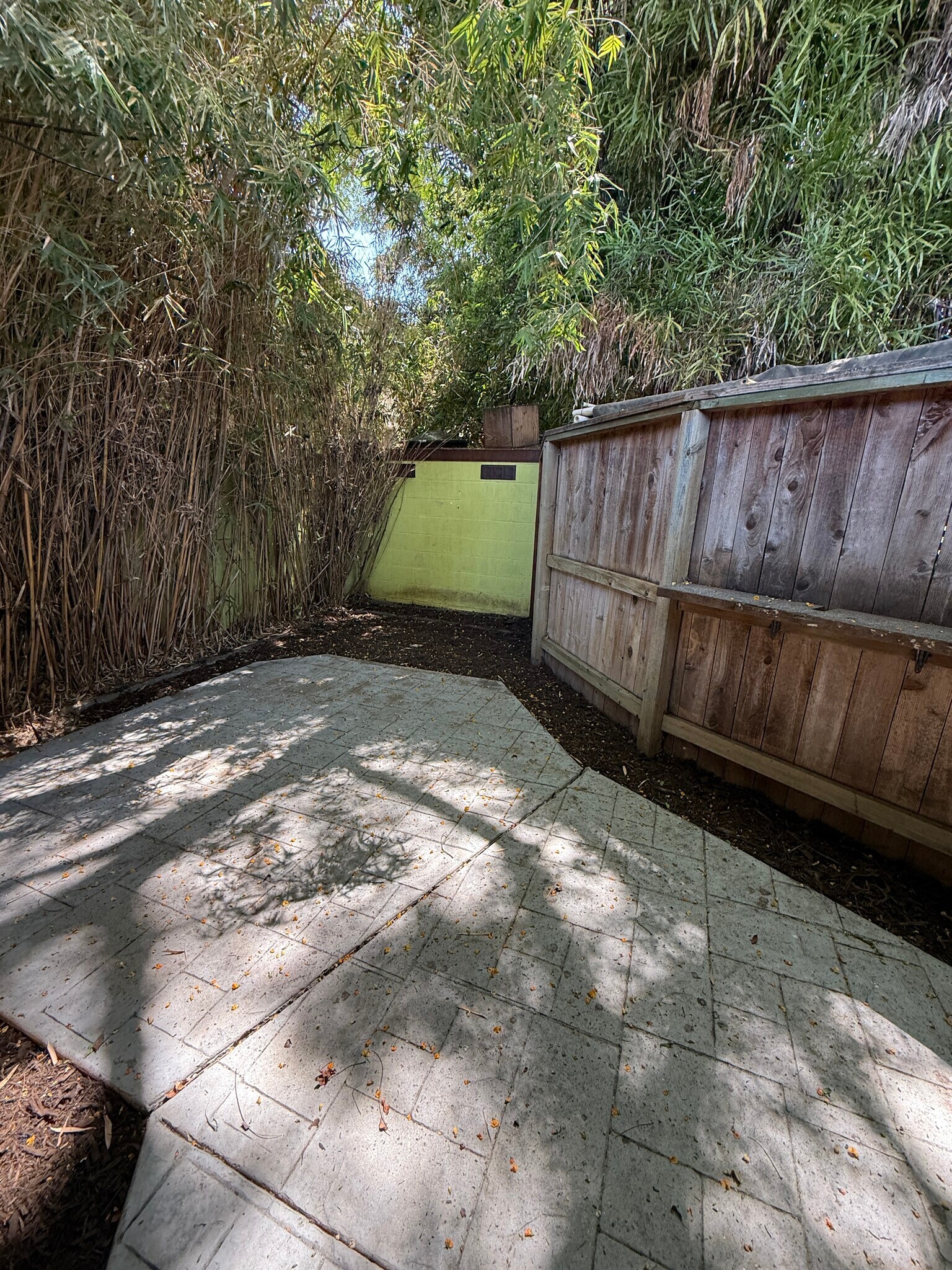 Backyard Patio - 2626 Delaware St