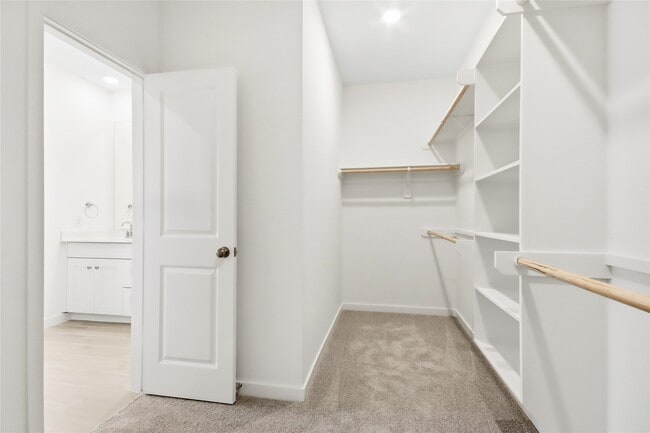 Building Photo - 28927 Rustic Robin Ln