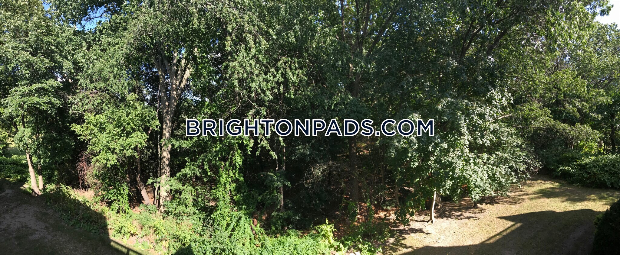 Building Photo - 144 Kenrick St