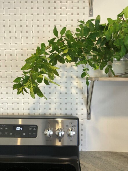 Italian tile backsplash - 1810 E Oakland Park Blvd
