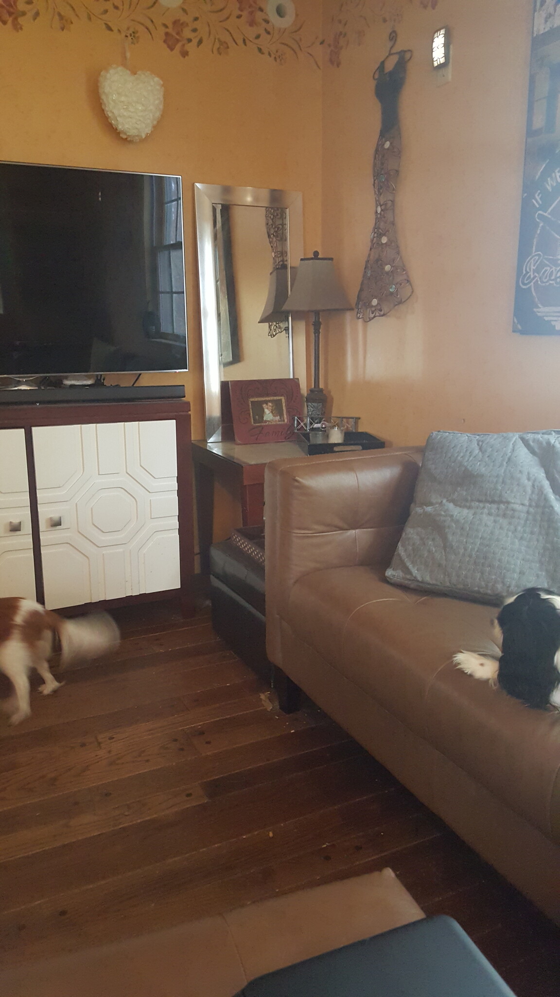 Family Room - 77 Waterloo Avenue