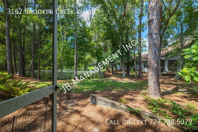 Building Photo - 3162 Brooker Creek Way