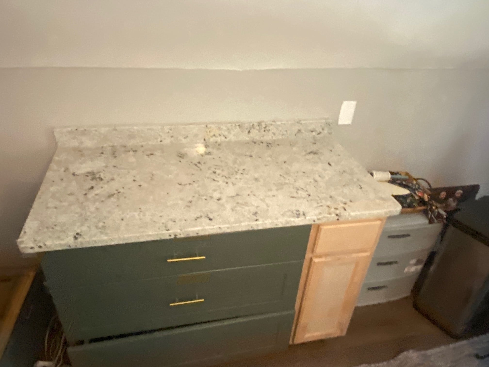 Meal Prep Area - 420 Cardigan Cir SW