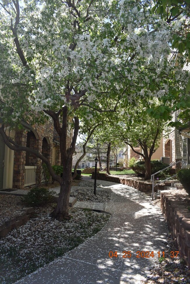 Building Photo - 2 bed / 2 bath Condo  - Deer Creek Condos Southwest Littleton