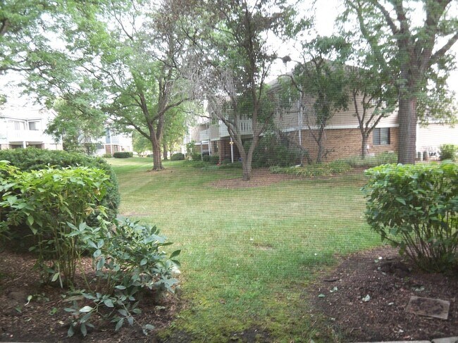 Building Photo - 1546 Williamsburg Dr