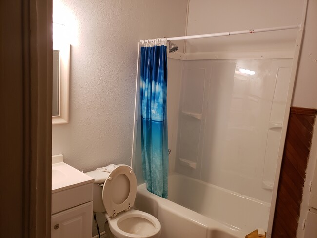 Bathroom - 3108 Wagner St