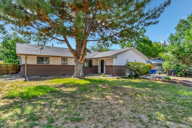 Building Photo - Beautiful, Bright & Move-In Ready Ranch in Desirable West Arvada