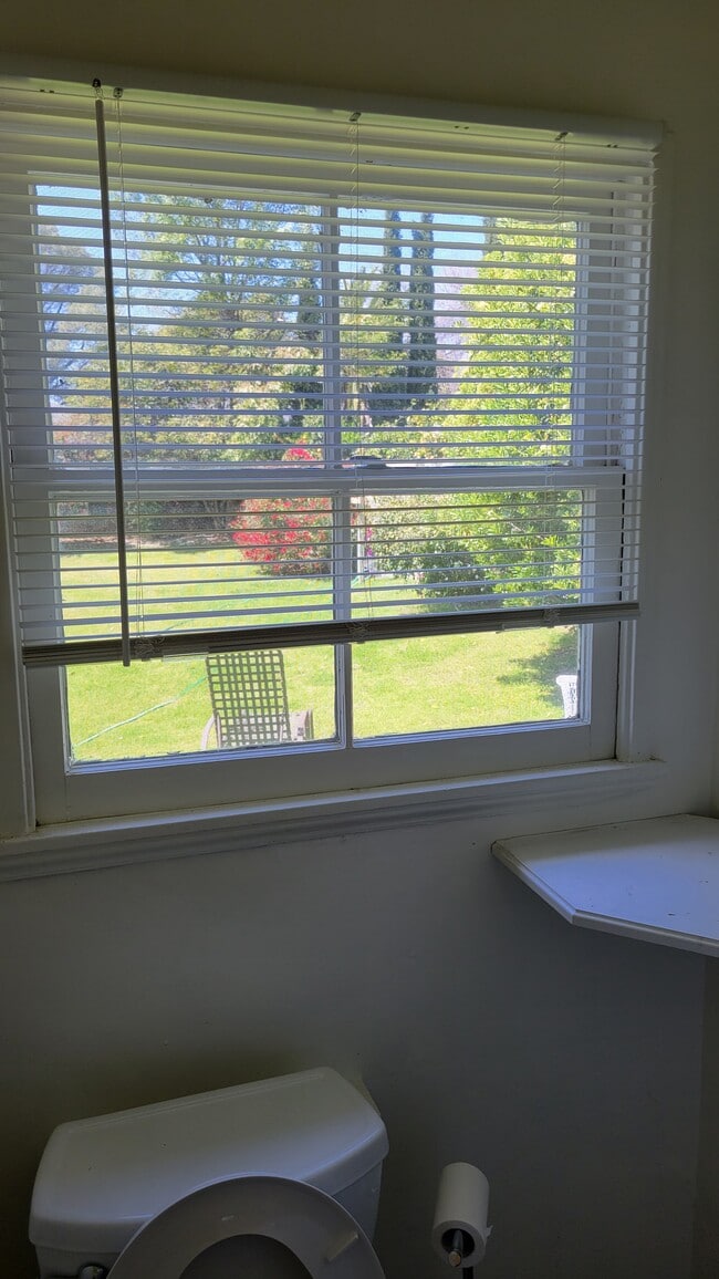 Out the bathroom window - 2795 Tola Ave