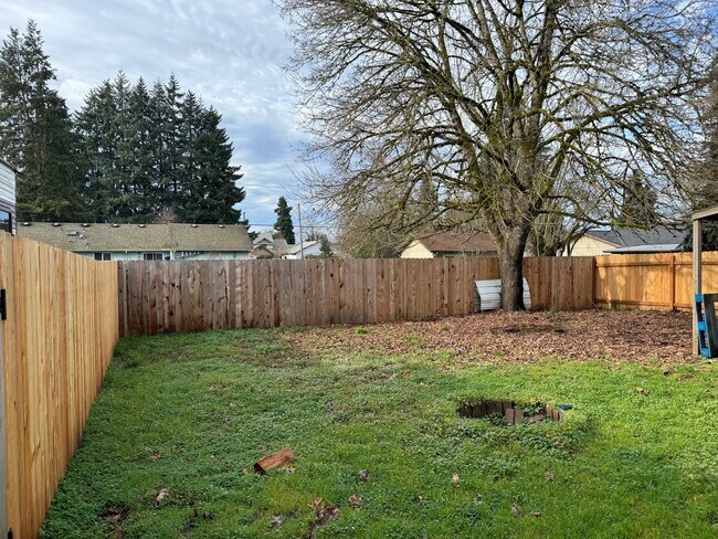 Backyard - 2180 Dakota St