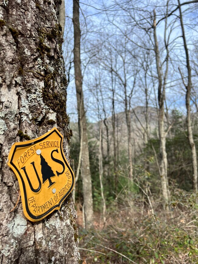 Building Photo - 59 Elm Dr