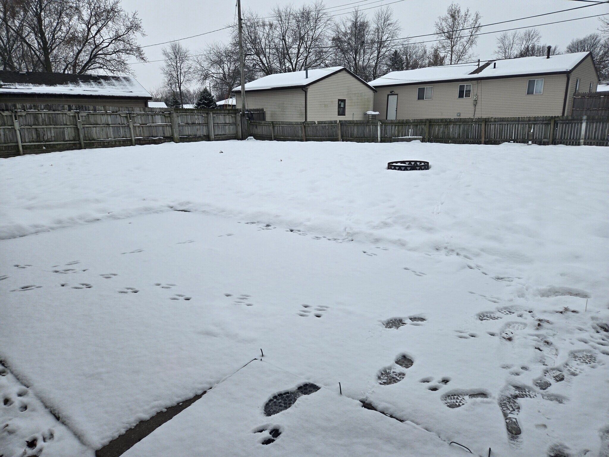 Building Photo - 2125 Hollywood Blvd