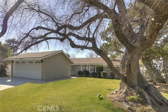 Building Photo - 1195 Rexford Ave