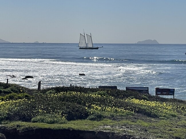 Building Photo - 4878 Pescadero Ave