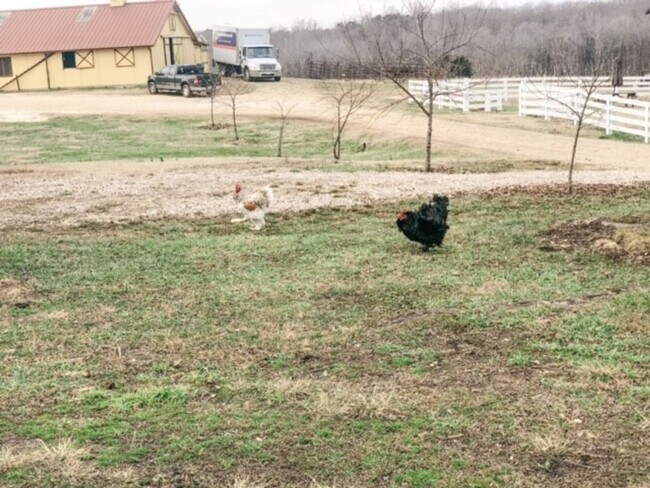 Building Photo - Beautiful 1 bedroom, 1 bath farmhouse with BONUS ROOM