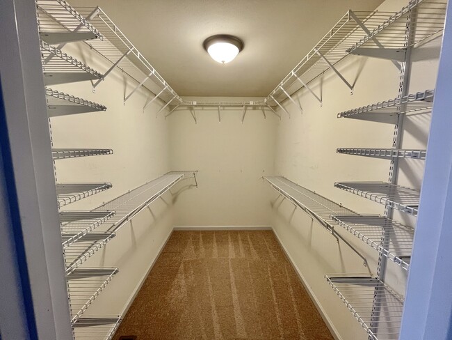 Building Photo - 405 Summer Fair Ct