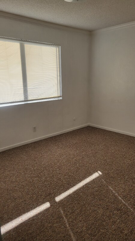 Building Photo - 1533 El Tigre Ct