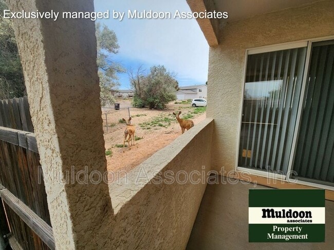 Building Photo - 955 S Kyle Ln