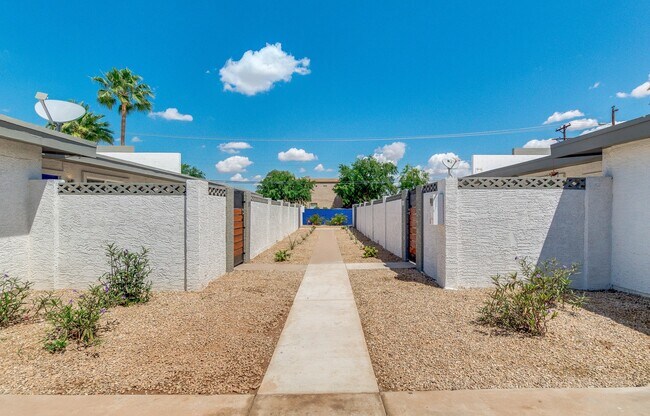 Interior Photo - The Yardz