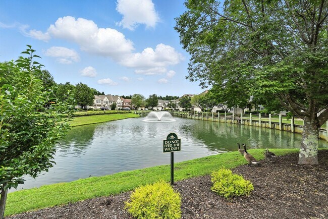 Building Photo - 965 Turtle Pond Ln