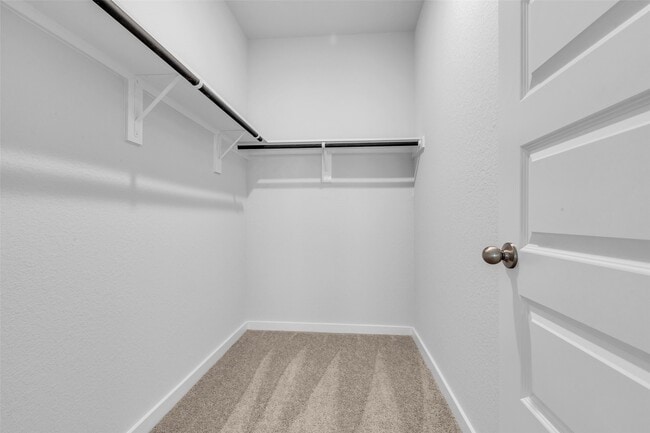 Building Photo - 8562 Blueberry Ash St