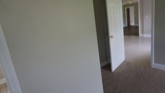 Building Photo - Luxury in Lakeland, GA