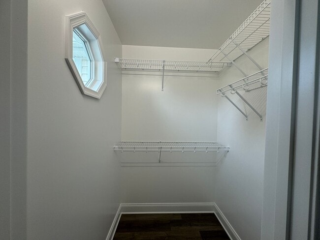 Building Photo - Brand New Construction at Zephyr Hill Town...