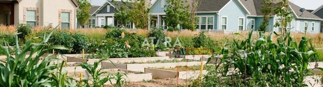 Building Photo - 11458 Harvest Crest Way