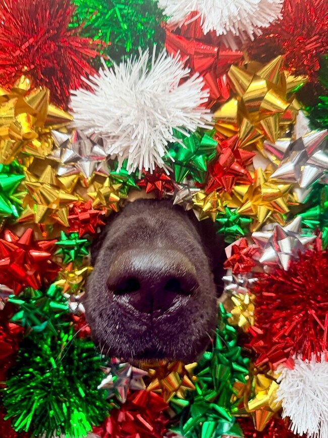 Building Photo - Gift yourself free application fees for this 1st Floor Immaculate 1 bedroom for rent in Sunny Myr...