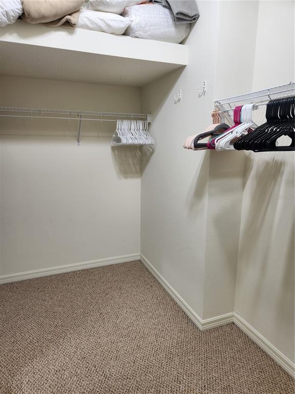 Building Photo - 8119 Villa Grande Ct