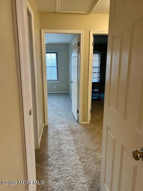 Building Photo - 905 Arlington Dr