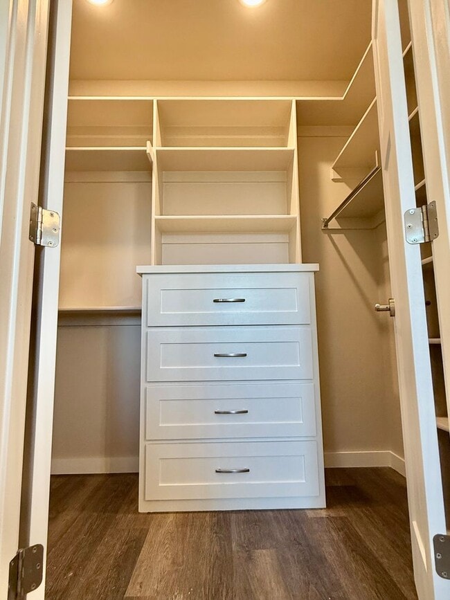 Building Photo - Brand NEW Large 1 Bed, 1 Bath in Beautiful...