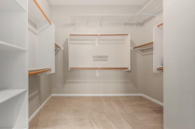 Building Photo - 4326 E Cloudburst Ct