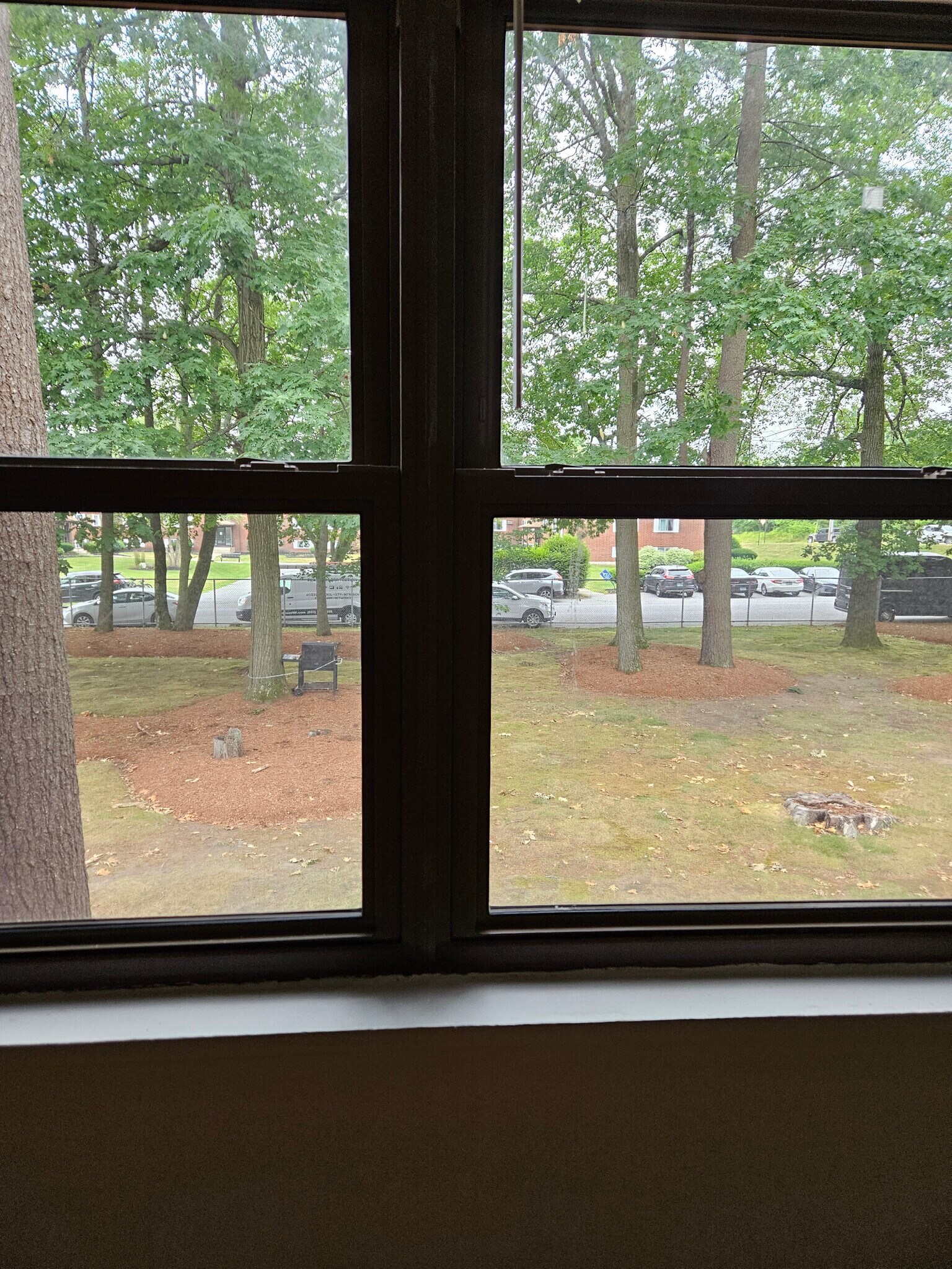 View of outside from the room - 4 Brook Rd