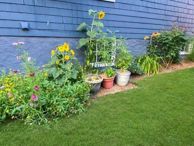 Building Photo - 159 Forest Hills St