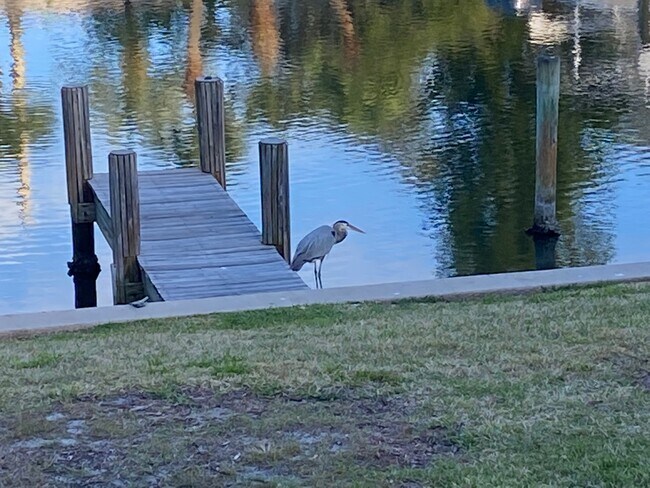 Building Photo - 4834 Bethel Creek Dr