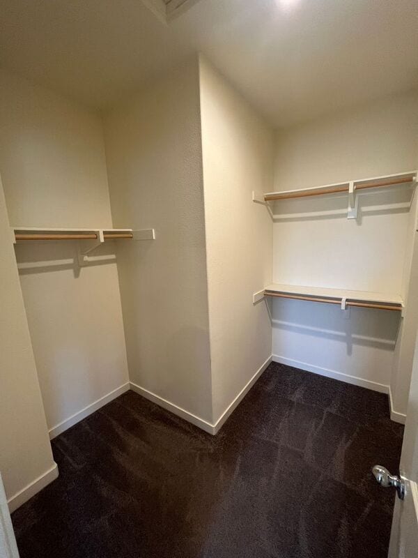 Building Photo - 4102 Calle Arbol
