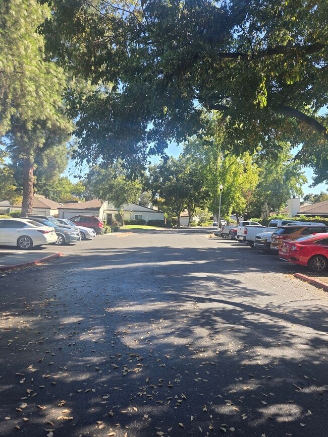 Building Photo - Charming Single Story 3 Bed 2 Bath House