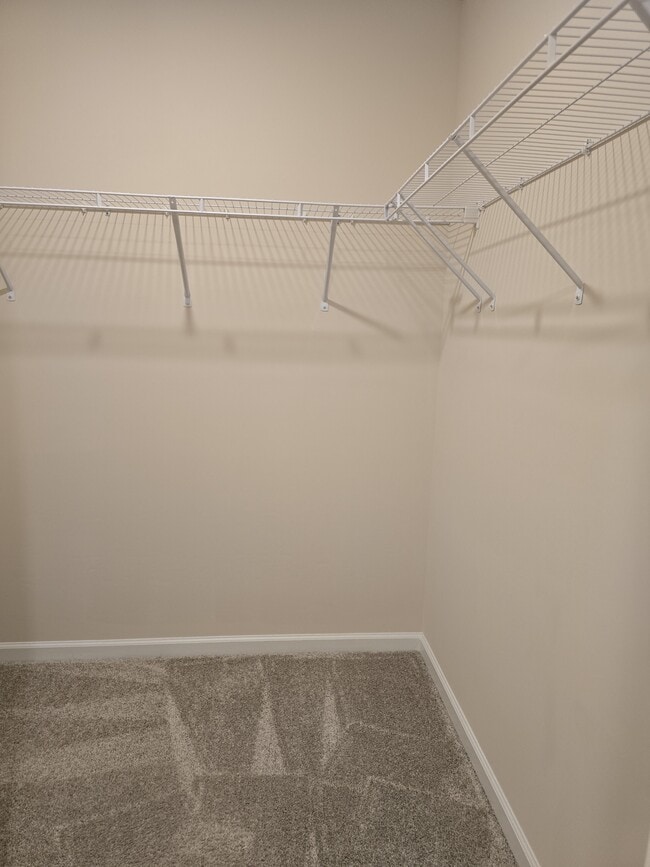 Building Photo - 883 Falls Grove Trl