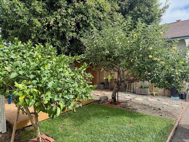 Building Photo - 1808 Castillo St