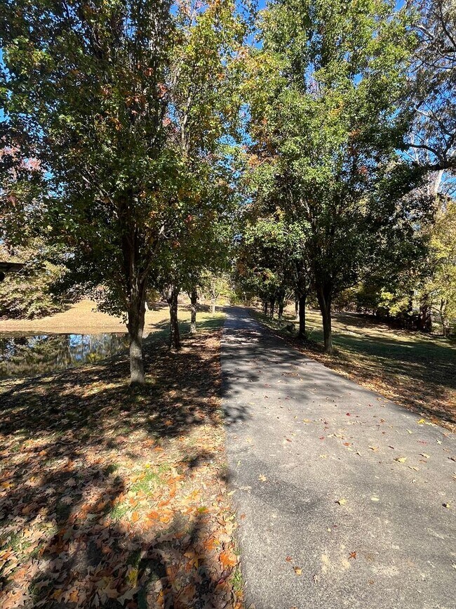 Building Photo - Country Living at it's best