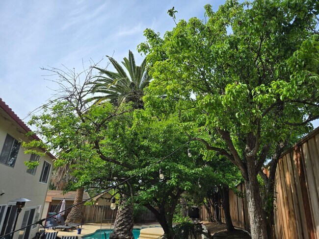 Building Photo - Phenomenal 4BD/3BA Single-Family Home in Quiet and Peaceful Pleasanton!