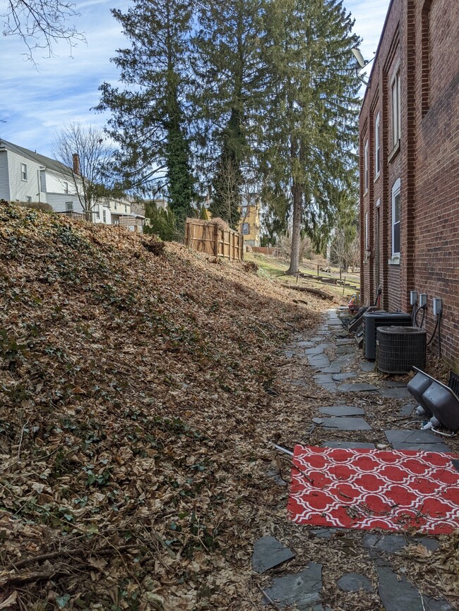 Walkway out to parking - 11 Spruce St