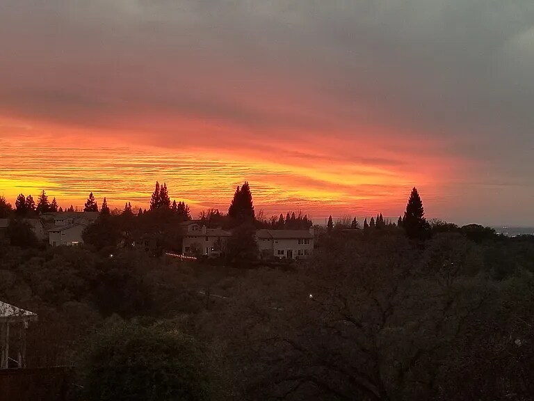 Building Photo - 3004 Fox Hill Dr