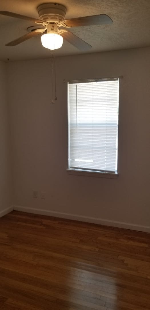 Building Photo - Super cute 3/1.5